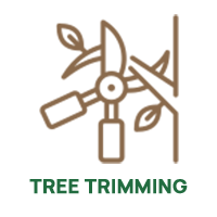 Tree Trimming